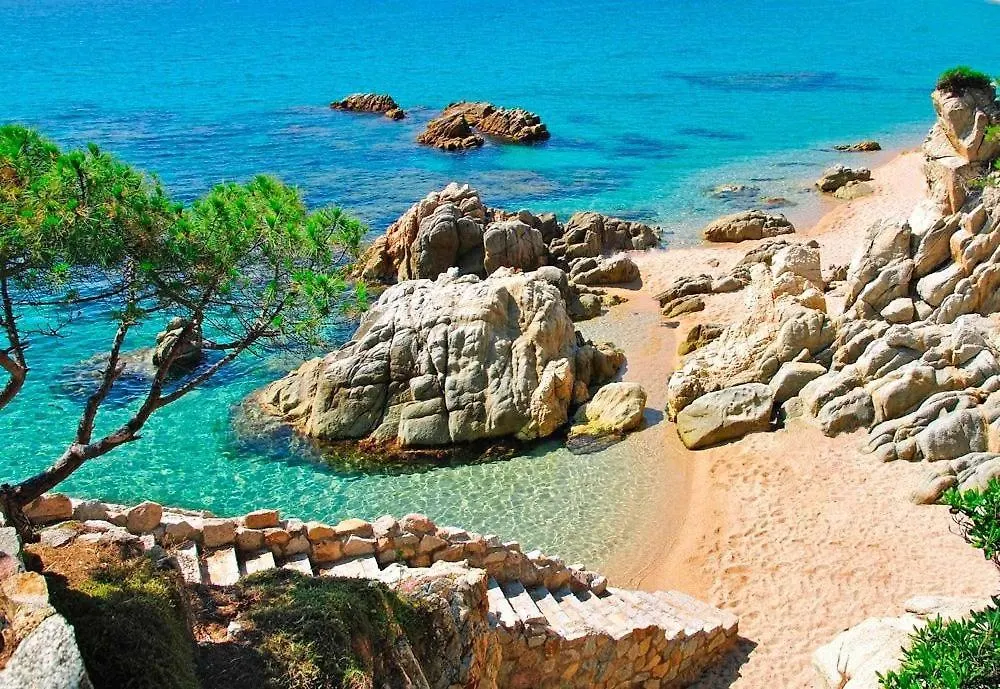 Oriol Center Apartments  Platja d'Aro