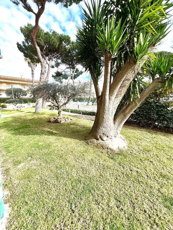Oriol Center Apartments