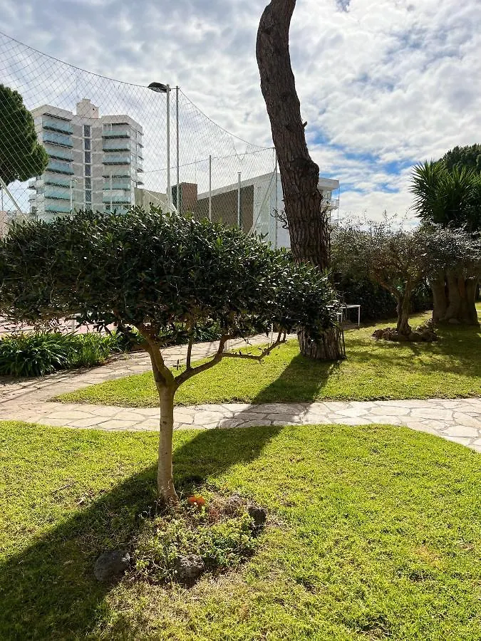Oriol Center Apartments Spain